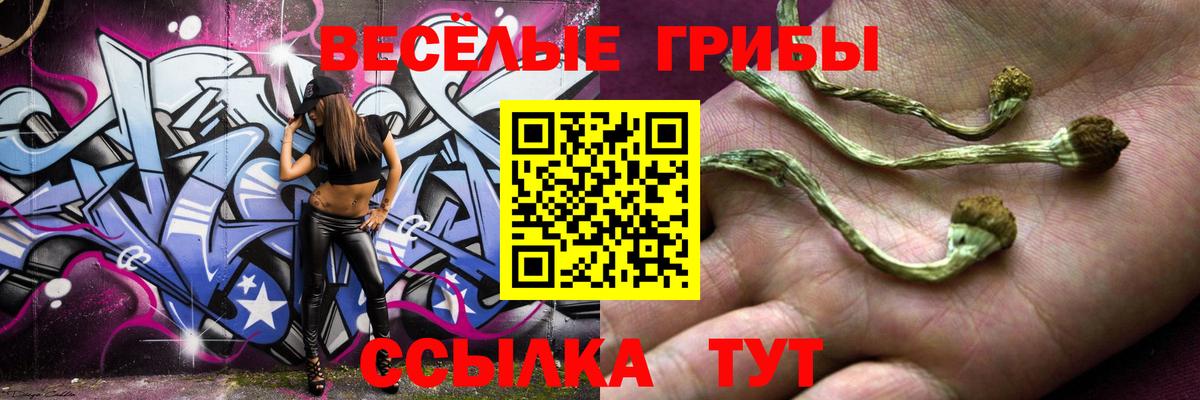 Сызрань  Псилоцибиновые грибы мухоморы  Вход с VPN  Галлюциногенные грибы Magic Shrooms 