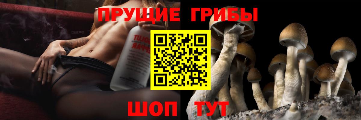 Псилоцибиновые грибы MAGIC MUSHROOMS Сызрань